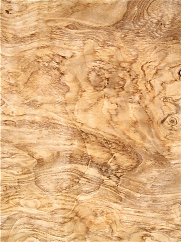 OLIVE ASH BURL VENEER 2 e1722264049949