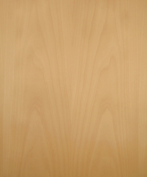 beech veneer steamed flat cut