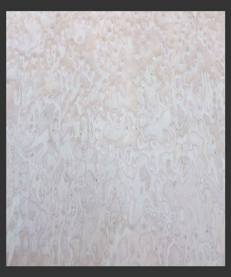 Untitled 11