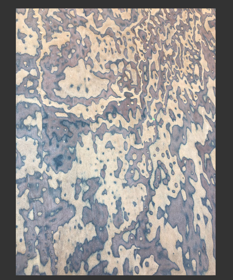 Untitled 8